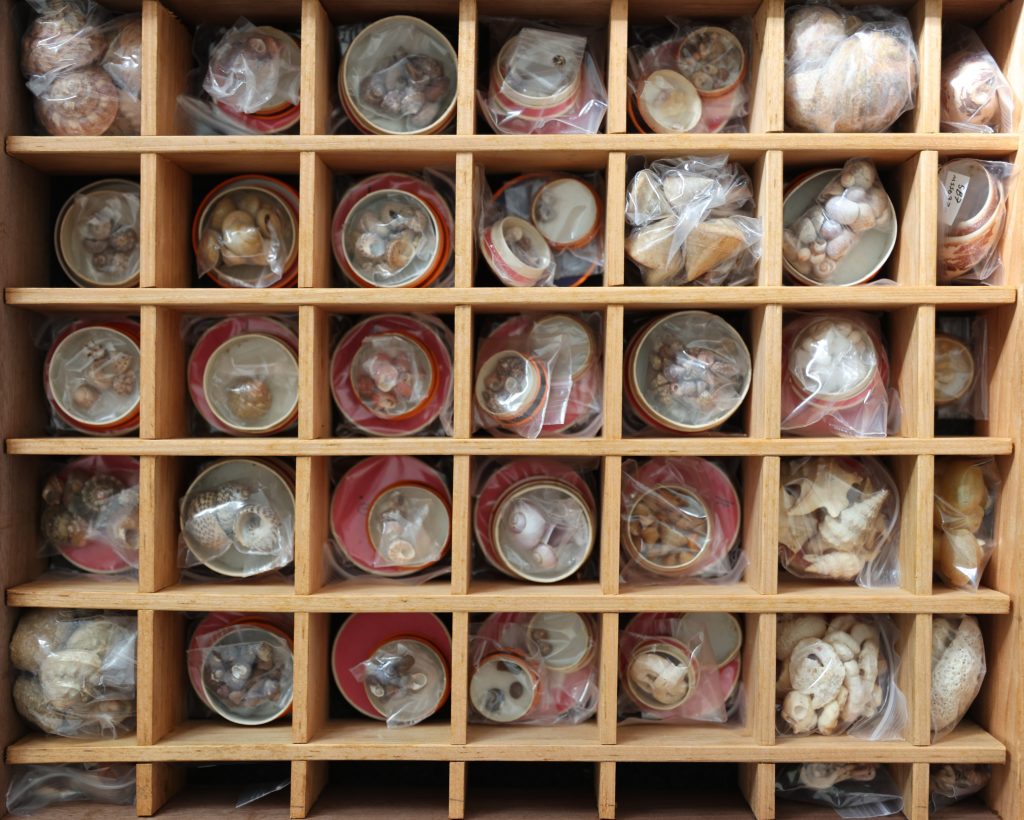 Drawer 5